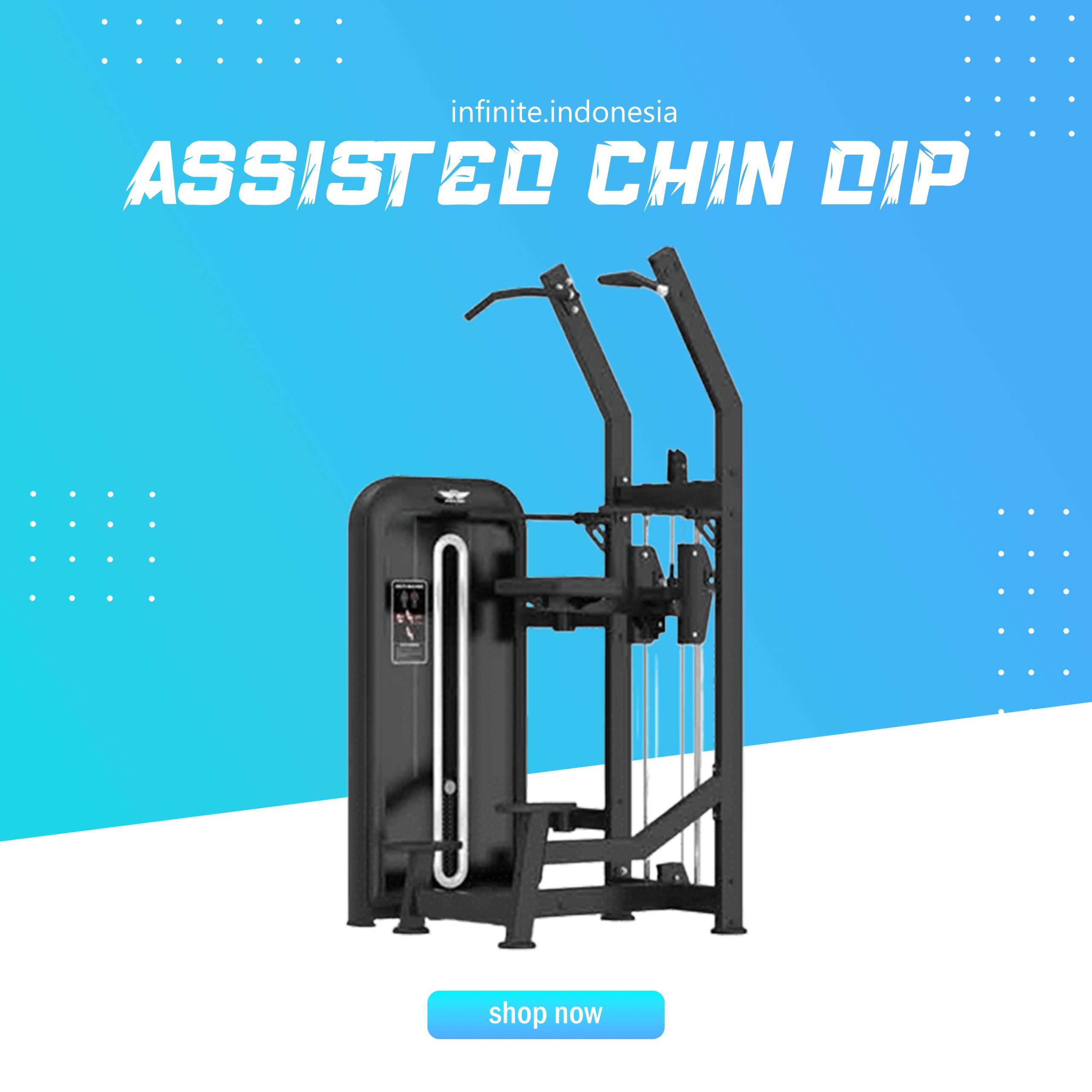 ASISSTED CHIN DIP