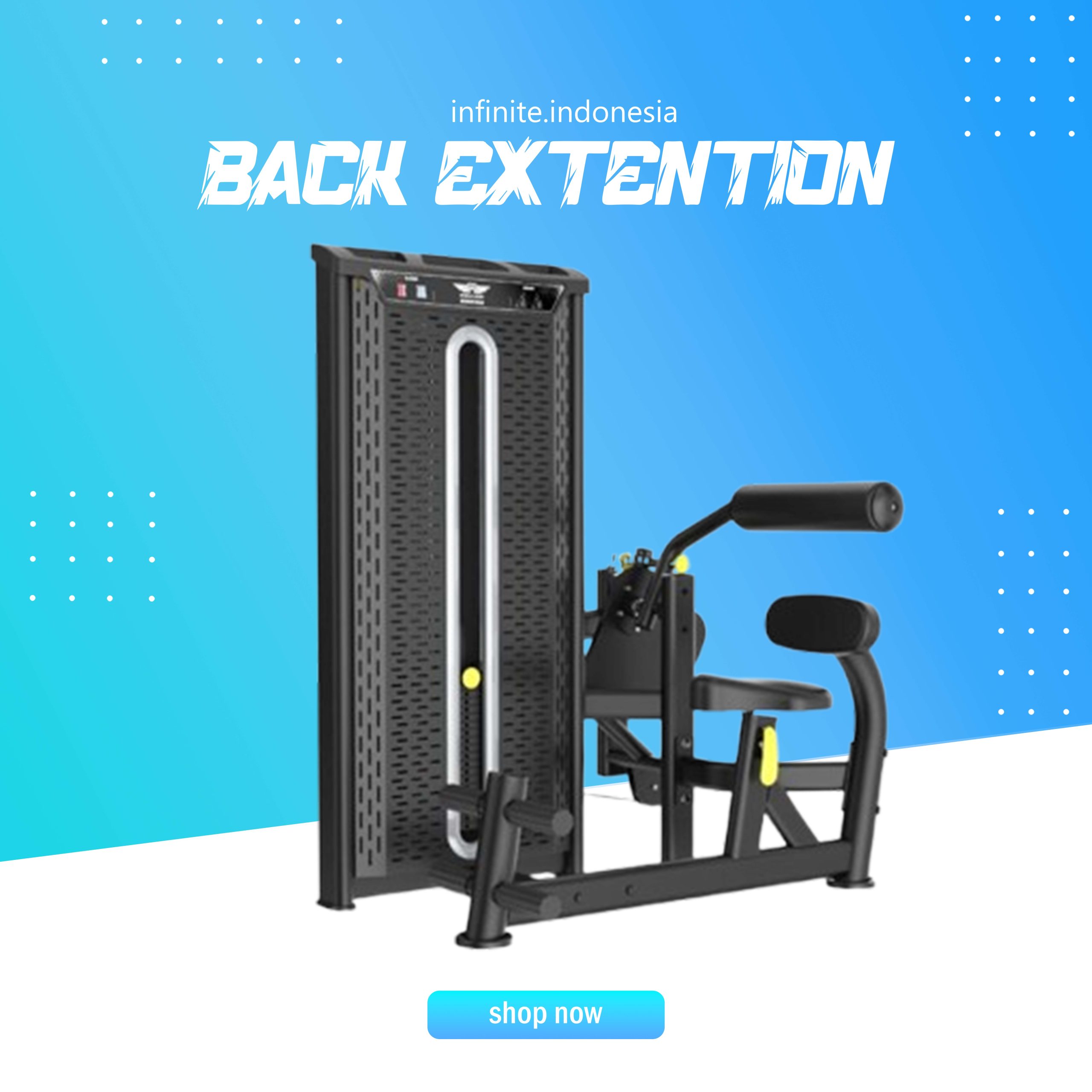 BACK EXTENTION