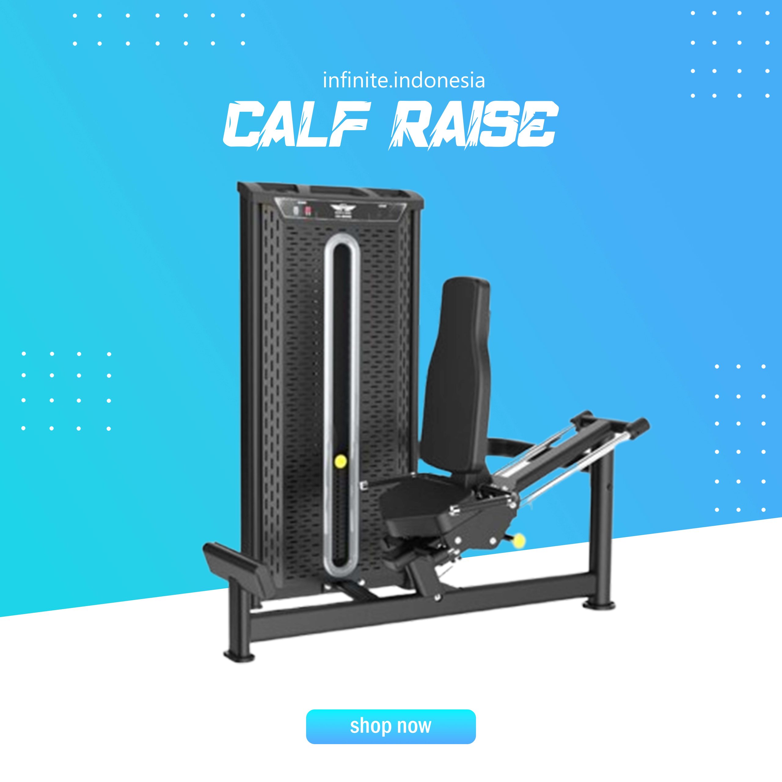 CALF RAISE