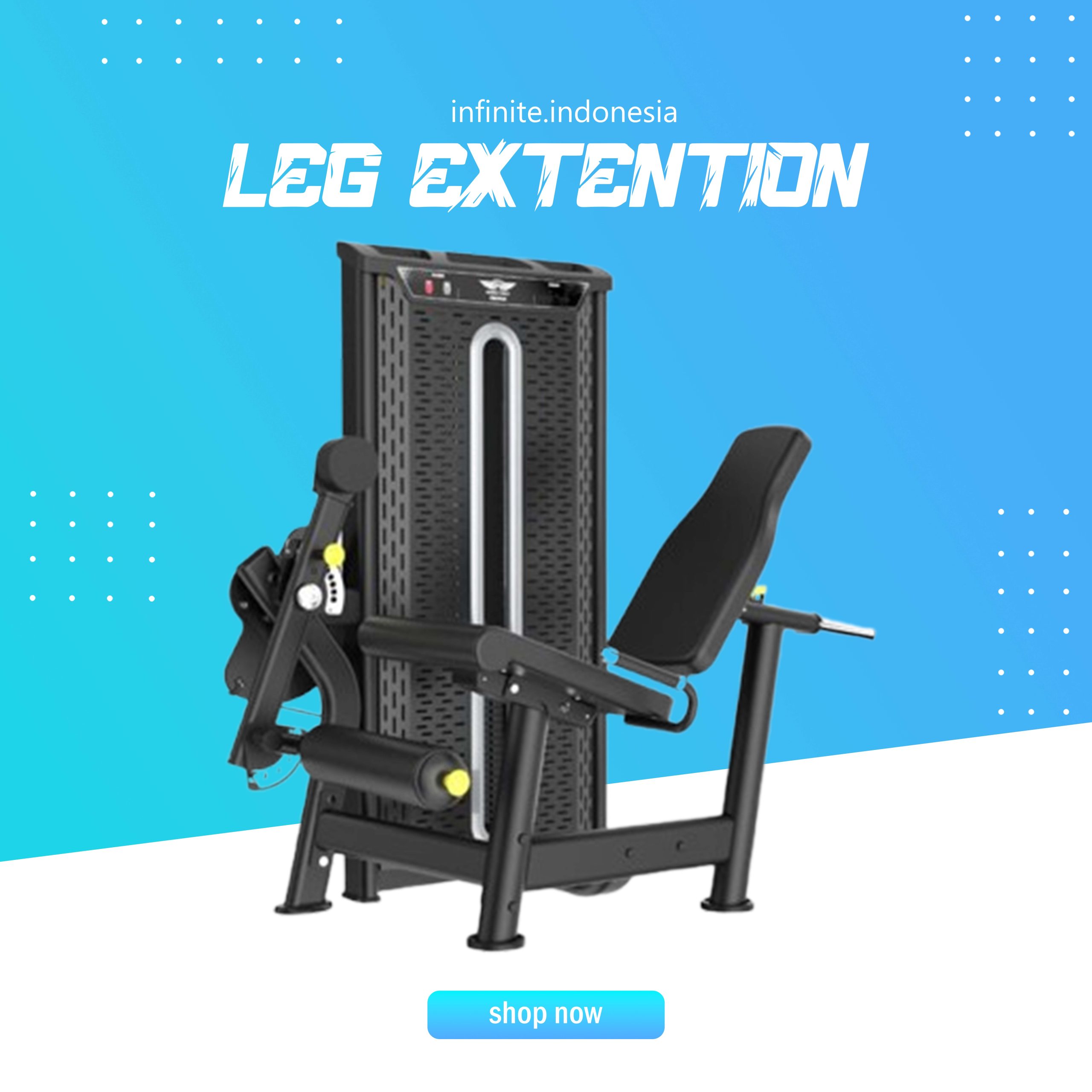 LEG EXTENTION