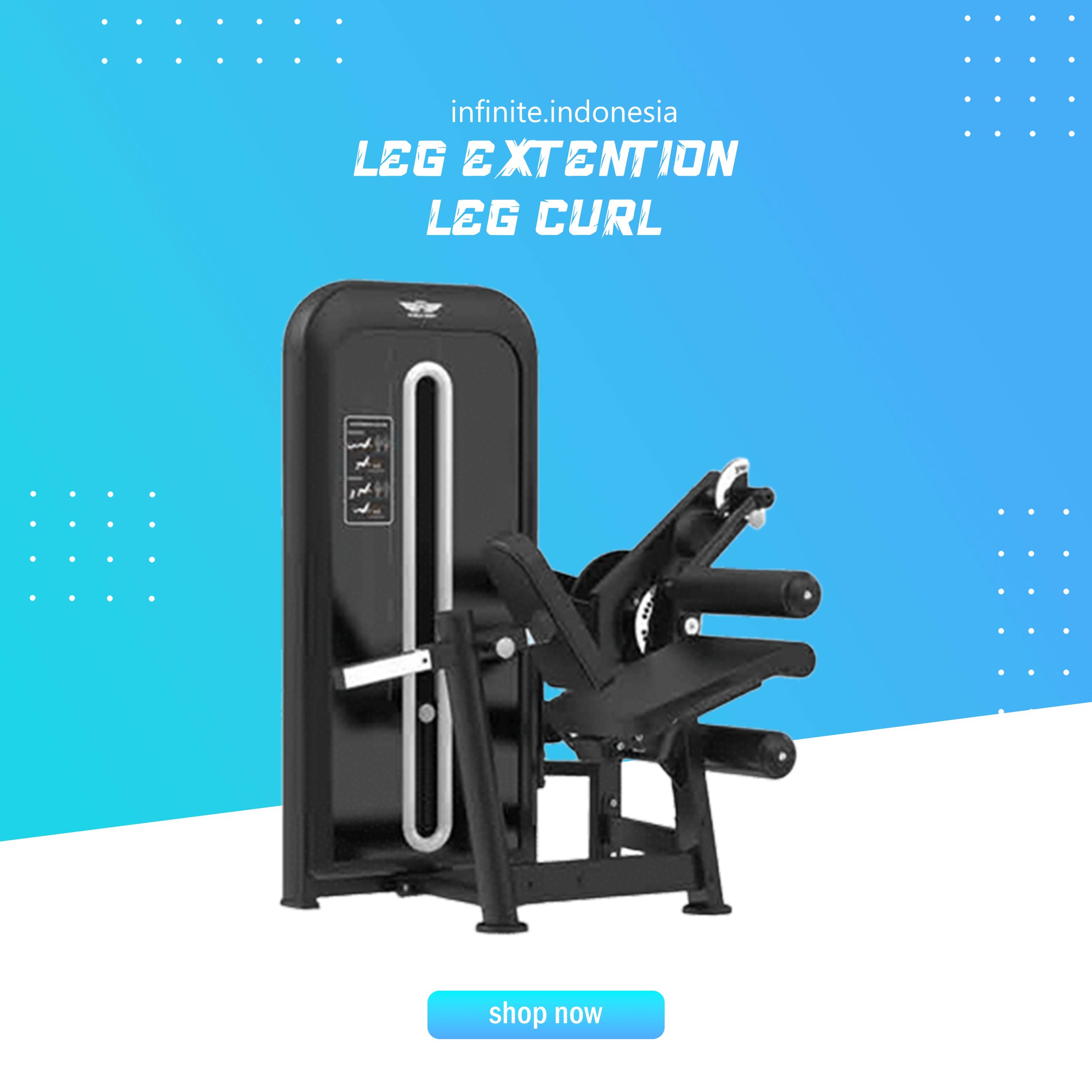 LEG EXTENTION LEG CURL