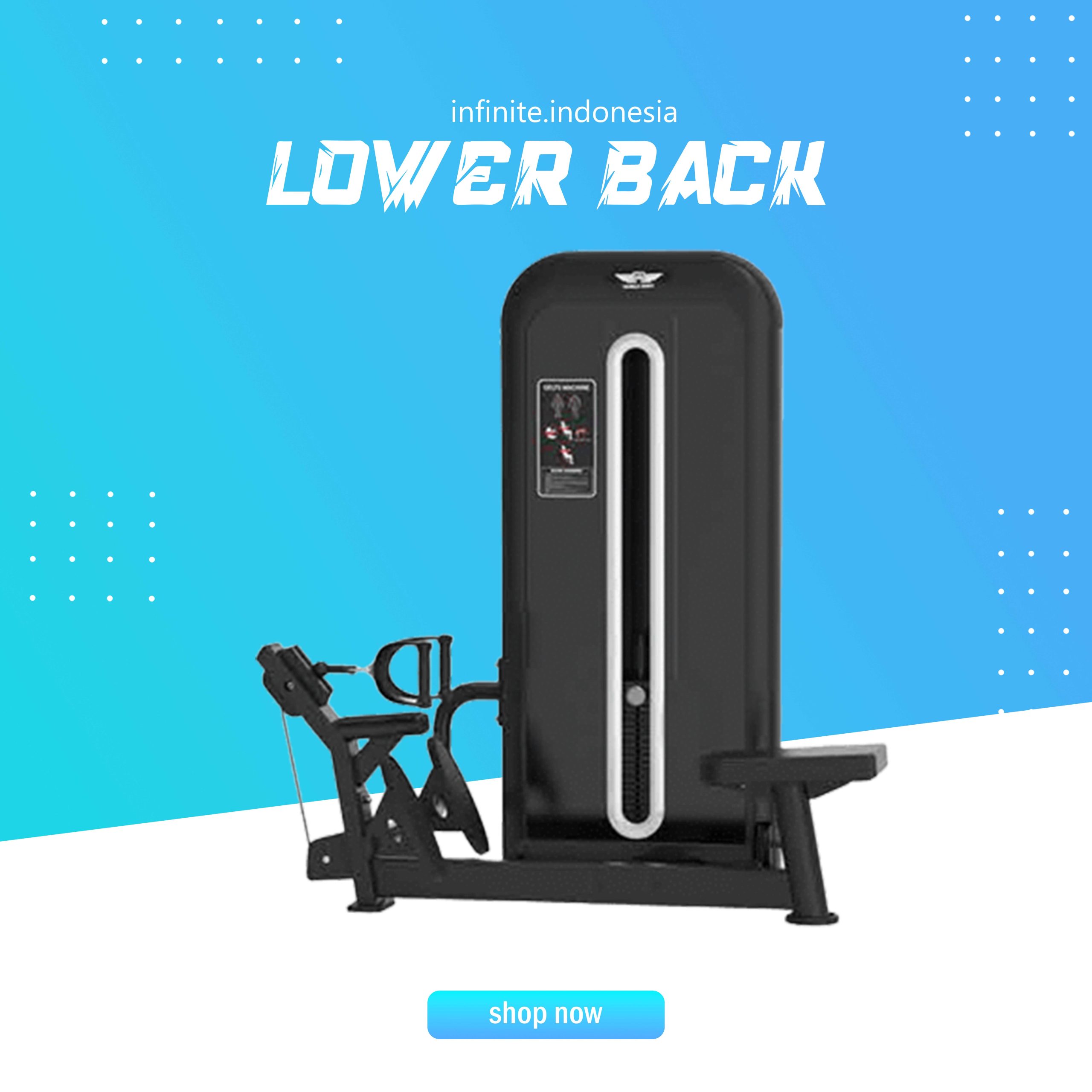 LOWER BACK''