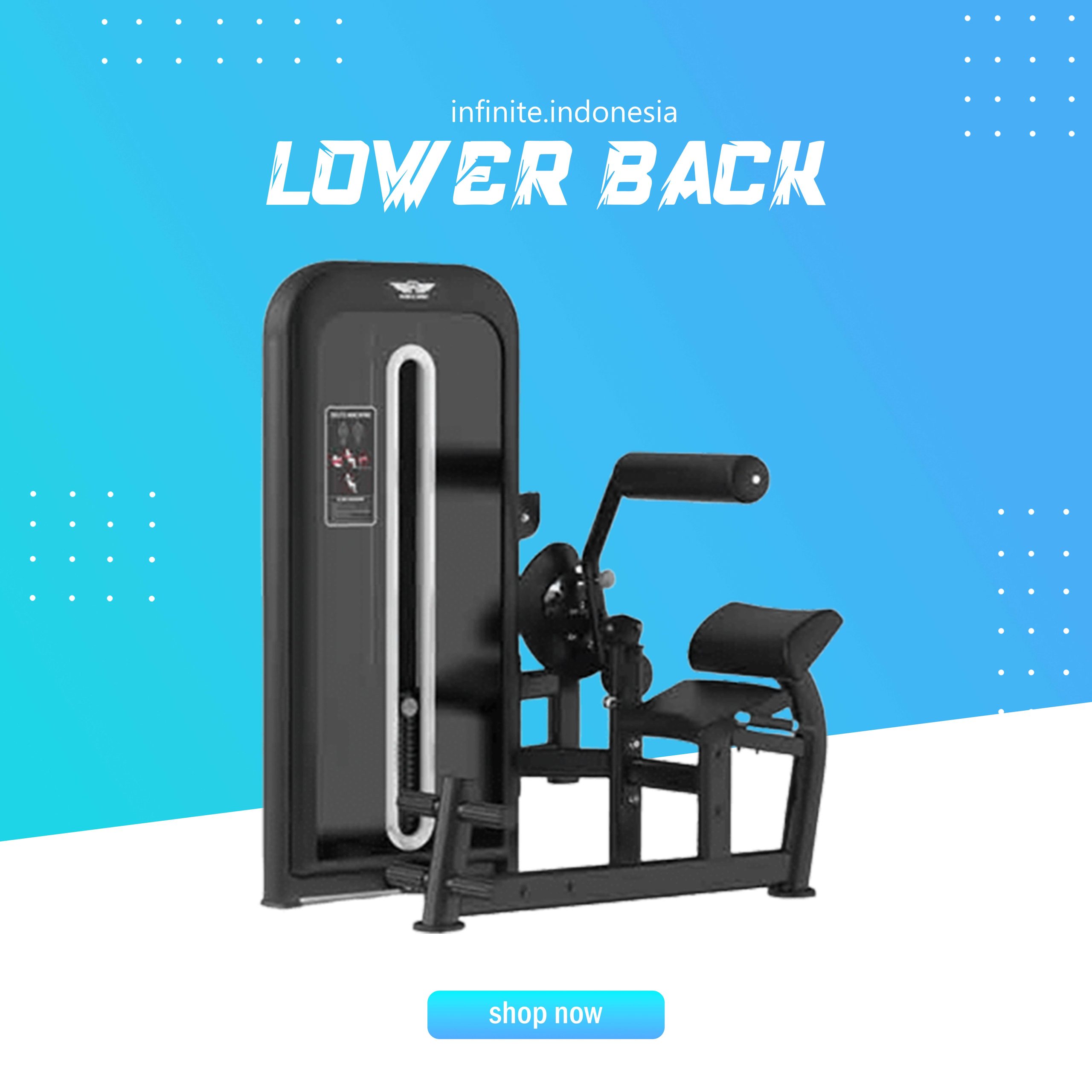 LOWER BACK