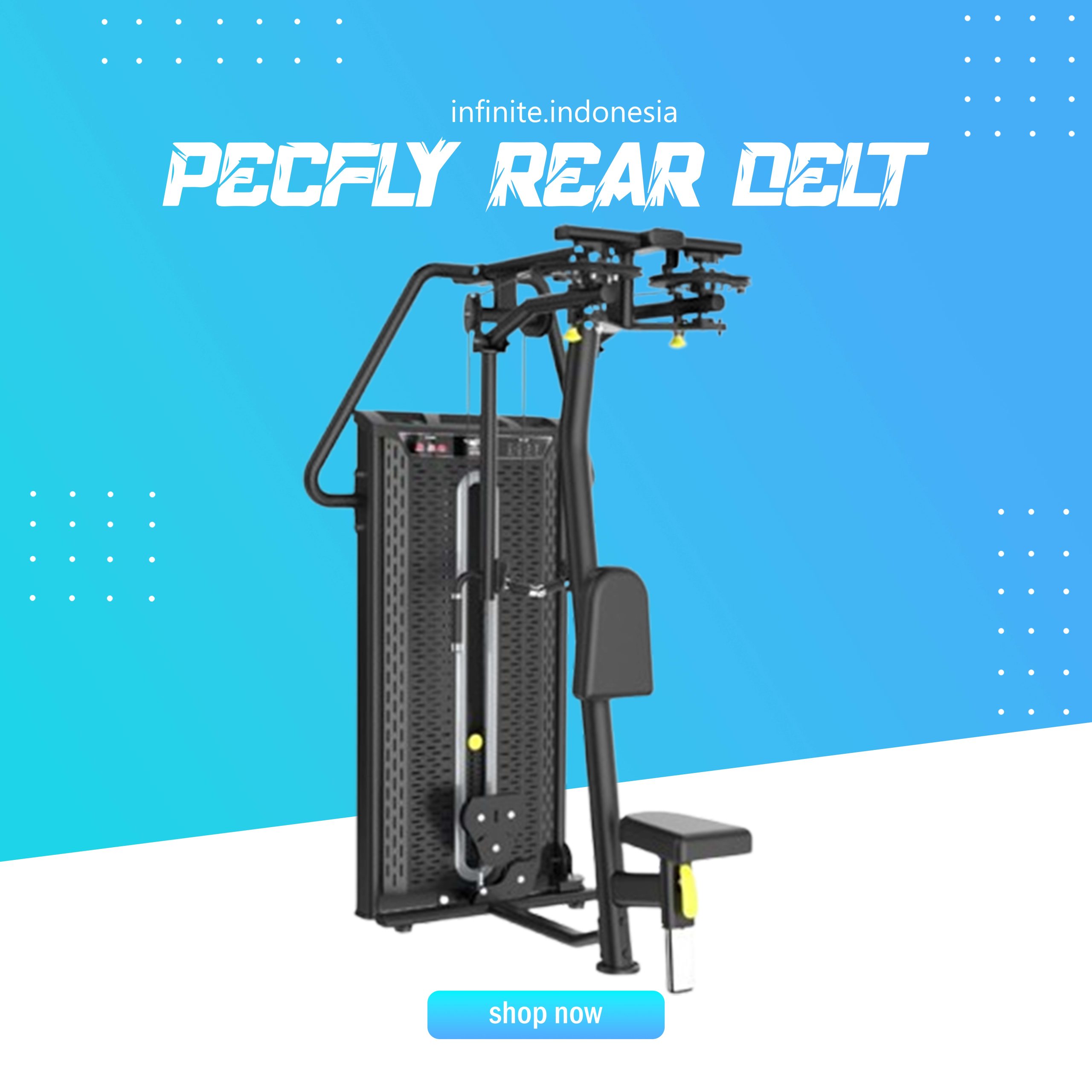 PECFLY REAR DELT