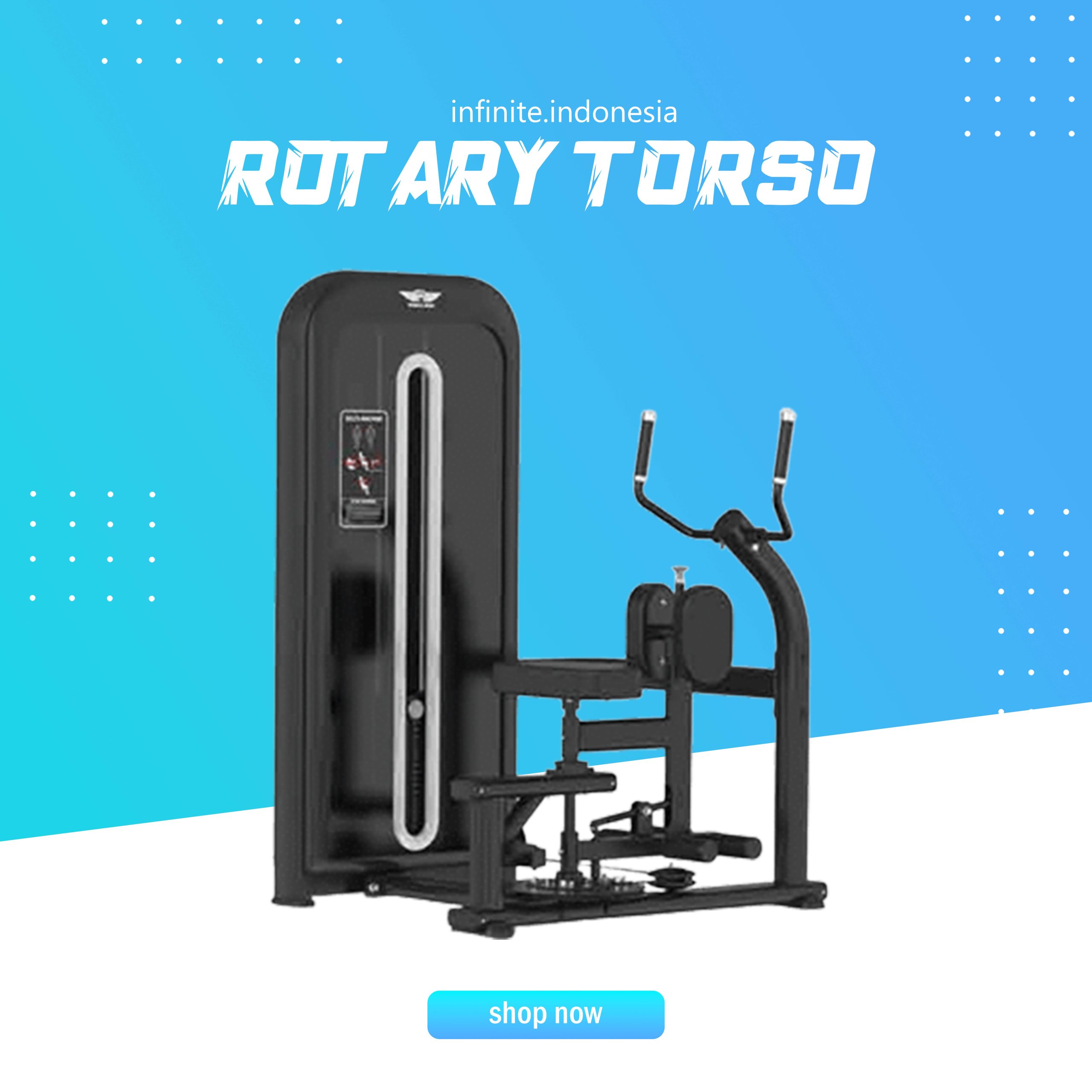 ROTARY TORSO