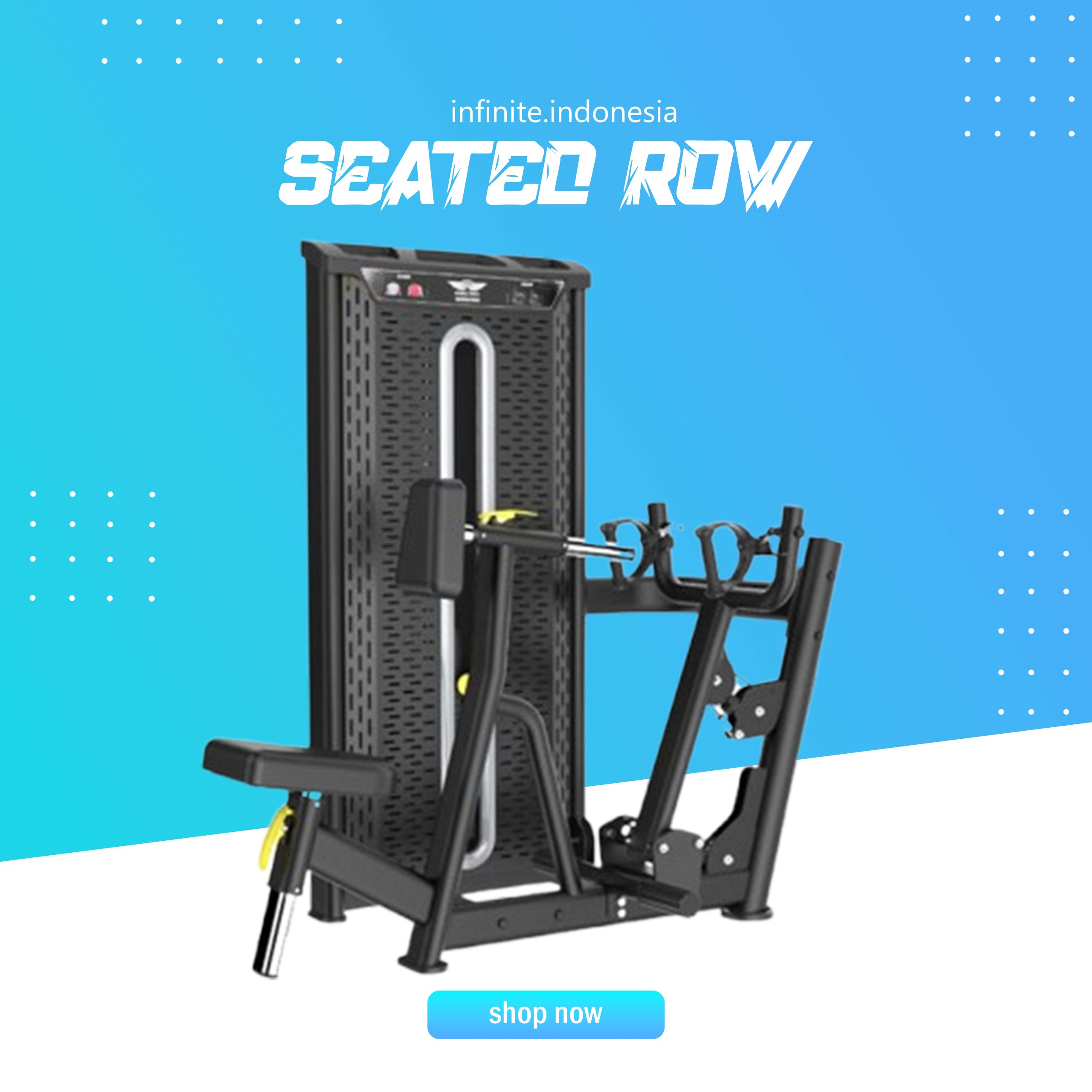 SEATED ROW