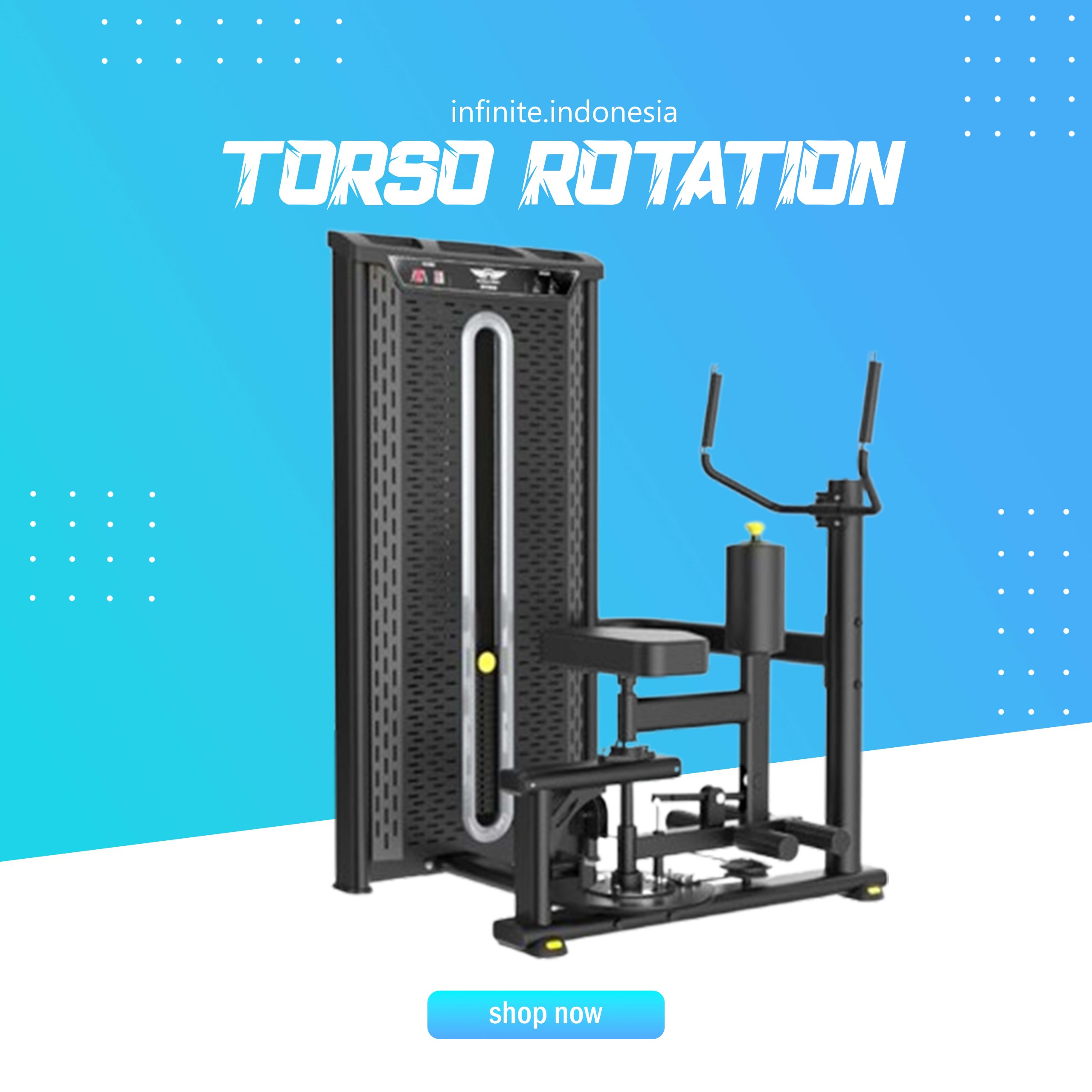 TORSO ROTATION